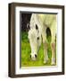 Cisco Sees-Blenda Tyvoll-Framed Giclee Print