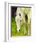 Cisco Sees-Blenda Tyvoll-Framed Giclee Print