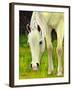 Cisco Sees-Blenda Tyvoll-Framed Giclee Print