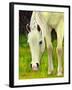 Cisco Sees-Blenda Tyvoll-Framed Giclee Print