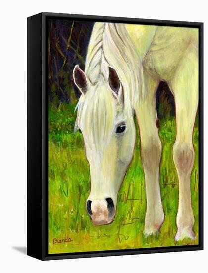 Cisco Sees-Blenda Tyvoll-Framed Stretched Canvas
