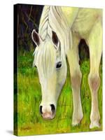 Cisco Sees-Blenda Tyvoll-Stretched Canvas