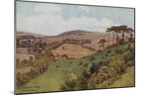 Cissbury Ring Near Worthing-Alfred Robert Quinton-Mounted Giclee Print