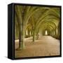 Cistercian Refectory, Fountains Abbey, Yorkshire, England-Michael Jenner-Framed Stretched Canvas
