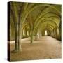 Cistercian Refectory, Fountains Abbey, Yorkshire, England-Michael Jenner-Stretched Canvas
