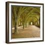 Cistercian Refectory, Fountains Abbey, Yorkshire, England-Michael Jenner-Framed Photographic Print