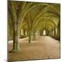 Cistercian Refectory, Fountains Abbey, Yorkshire, England-Michael Jenner-Mounted Photographic Print