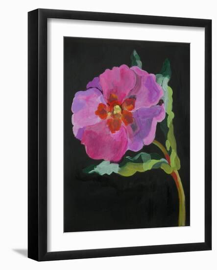 Cistus, New Zealand, 2007-Deborah Barton-Framed Giclee Print