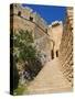 Citadel and Acropolis of Lindos, Rhodes, Dodecanese, Greek Islands, Greece, Europe-null-Stretched Canvas