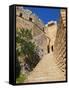 Citadel and Acropolis of Lindos, Rhodes, Dodecanese, Greek Islands, Greece, Europe-null-Framed Stretched Canvas