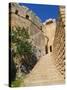 Citadel and Acropolis of Lindos, Rhodes, Dodecanese, Greek Islands, Greece, Europe-null-Stretched Canvas