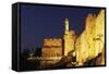 Citadel and Tower of David (Founded in 2nd Century BC)-null-Framed Stretched Canvas