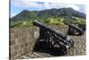 Citadel cannons, Brimstone Hill Fortress National Park, St. Kitts, St. Kitts and Nevis-Eleanor Scriven-Stretched Canvas