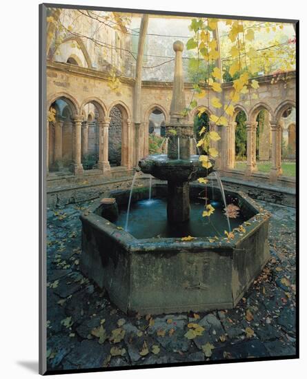 Citadel Fountain-null-Mounted Art Print