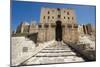 Citadel of Aleppo (Unesco World Heritage List, 1986), 13th Century, Syria-null-Mounted Photographic Print