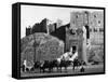 Citadel of Aleppo-null-Framed Stretched Canvas