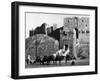 Citadel of Aleppo-null-Framed Photographic Print