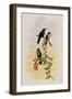 Citado Wood-Nymph, Thalurania Hypochlora-John Gould-Framed Giclee Print