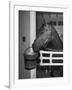 Citation in Stall-Tony Linck-Framed Photographic Print