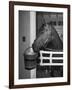 Citation in Stall-Tony Linck-Framed Photographic Print