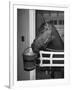 Citation in Stall-Tony Linck-Framed Photographic Print