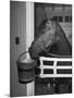 Citation in Stall-Tony Linck-Mounted Photographic Print