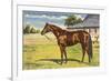 Citation, Kentucky Derby Winner-null-Framed Premium Giclee Print