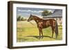 Citation, Kentucky Derby Winner-null-Framed Art Print