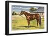 Citation, Kentucky Derby Winner-null-Framed Art Print