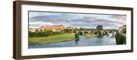 Cite De Carcassonne castle seen from Pont Neuf, Carcassonne, Aude, Languedoc-Rousillon, France-null-Framed Photographic Print