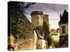 Cite Medievale (Castle District), Loches, Indre-Et-Loire, Loire Valley, Centre, France-David Hughes-Stretched Canvas
