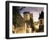 Cite Medievale (Castle District), Loches, Indre-Et-Loire, Loire Valley, Centre, France-David Hughes-Framed Photographic Print