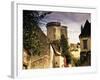 Cite Medievale (Castle District), Loches, Indre-Et-Loire, Loire Valley, Centre, France-David Hughes-Framed Photographic Print