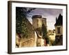 Cite Medievale (Castle District), Loches, Indre-Et-Loire, Loire Valley, Centre, France-David Hughes-Framed Photographic Print