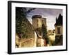 Cite Medievale (Castle District), Loches, Indre-Et-Loire, Loire Valley, Centre, France-David Hughes-Framed Photographic Print