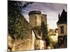 Cite Medievale (Castle District), Loches, Indre-Et-Loire, Loire Valley, Centre, France-David Hughes-Mounted Photographic Print