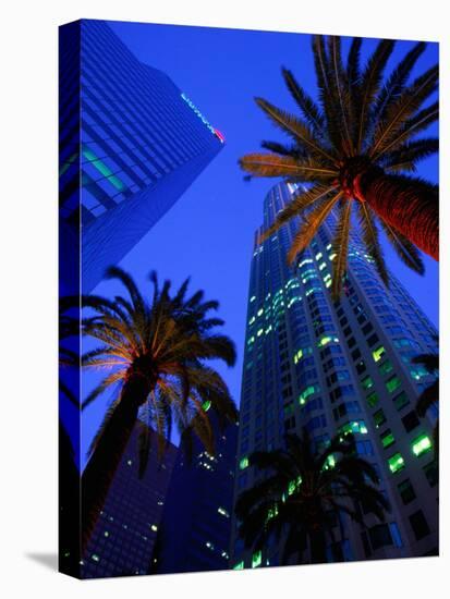 Citibank Center and Palm Trees from Below, Los Angeles, United States of America-Richard Cummins-Stretched Canvas