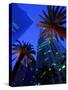 Citibank Center and Palm Trees from Below, Los Angeles, United States of America-Richard Cummins-Stretched Canvas