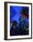 Citibank Center and Palm Trees from Below, Los Angeles, United States of America-Richard Cummins-Framed Photographic Print