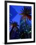 Citibank Center and Palm Trees from Below, Los Angeles, United States of America-Richard Cummins-Framed Photographic Print