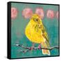 Citrine Fly Catcher-Molly Reeves-Framed Stretched Canvas