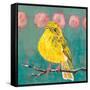 Citrine Fly Catcher-Molly Reeves-Framed Stretched Canvas