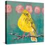 Citrine Fly Catcher-Molly Reeves-Stretched Canvas