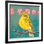 Citrine Fly Catcher-Molly Reeves-Framed Photographic Print