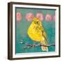 Citrine Fly Catcher-Molly Reeves-Framed Photographic Print