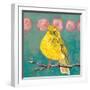 Citrine Fly Catcher-Molly Reeves-Framed Photographic Print