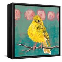 Citrine Fly Catcher-Molly Reeves-Framed Stretched Canvas