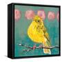 Citrine Fly Catcher-Molly Reeves-Framed Stretched Canvas