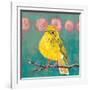 Citrine Fly Catcher-Molly Reeves-Framed Photographic Print