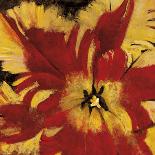 Rosso Fiore II-Citrine-Giclee Print